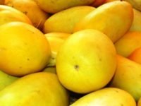 8 Manfaat Timun Suri Untuk Ibu Hami dan Cara menikmati timun saat hamil