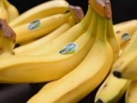 Manfaat Buah Pisang Untuk Kesehatan Tubuh Yang Harus Diketahui