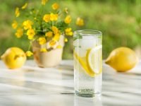 5 Manfaat Buah Lemon Untuk Kesehatan Tubuh