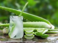 Manfaat Lidah Buaya Untuk Kesehatan Dan Kecantikan