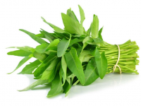 5 Manfaat Kangkung Untuk Kesehatan Tubuh dan Bisa Cegah Coronavirus