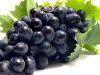 5 Manfaat dan Kesehatan Buah Anggur Brazil & Daun Anggur
